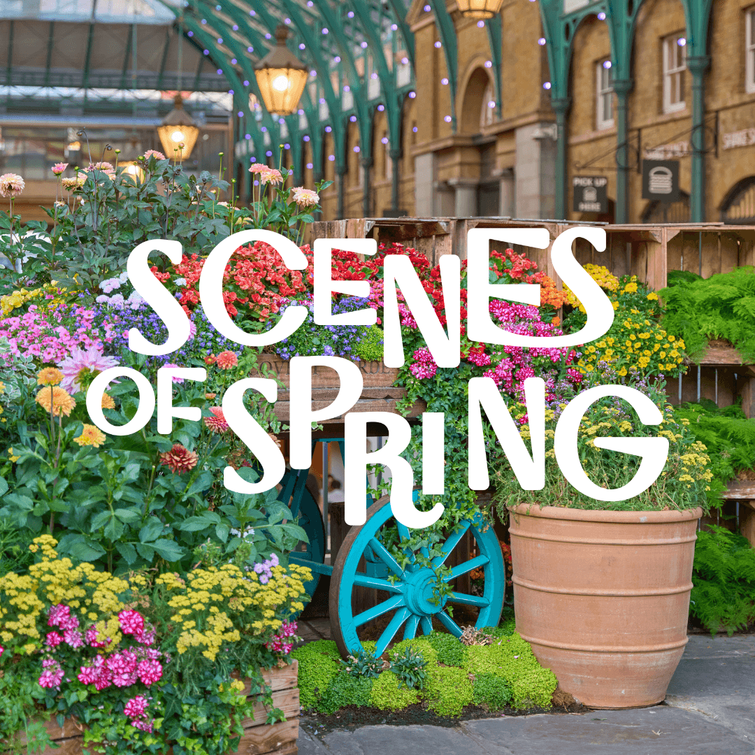 Big Screen on the Piazza