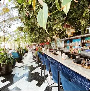 More of what you love