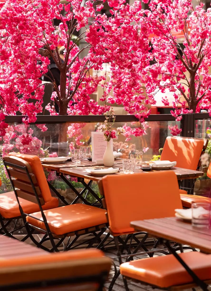 SUSHISAMBA'S Sakura Spring Terrace